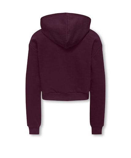 ONLY GIRLS Kapuzenpullover mit Print – Weicher Hoodie für Mädchen
