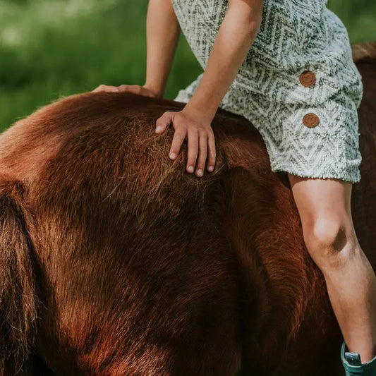 Koko Noko Shorts Junge Oliv Mokkini