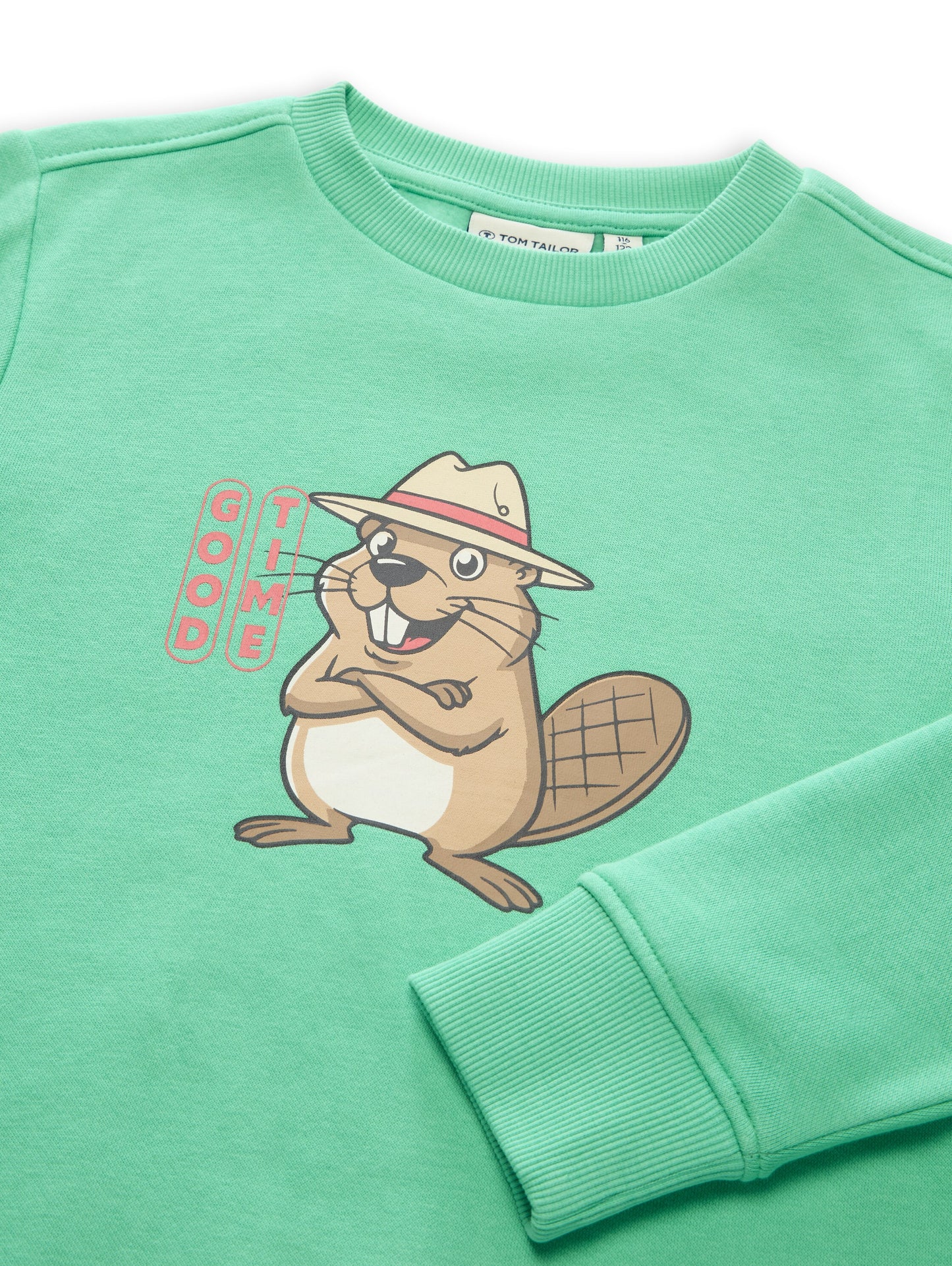 Tom Tailor Jungen Sweatshirt mit Print in Grün
