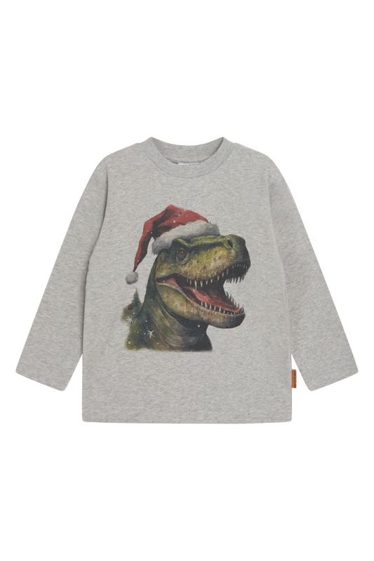 Hust & Claire Langarmshirt mit Weihnachts-Dino – Anton