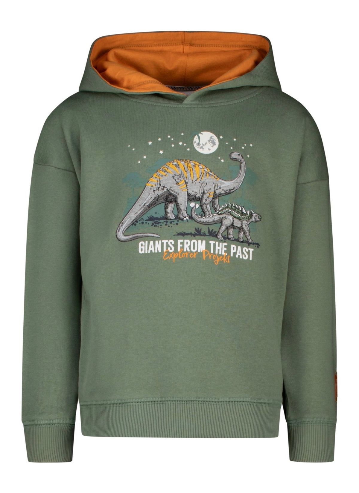 Salt & Pepper Jungen Dino-Sweatshirt Hellgrün