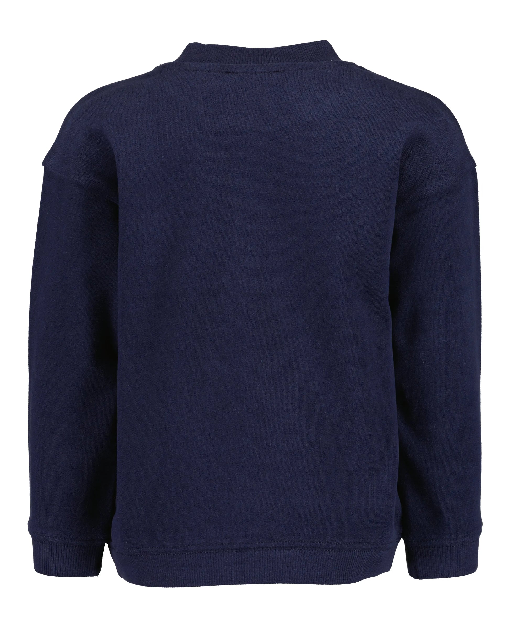 Blue Seven Sweatshirt mit Dino-Stickerei - Sweatshirt - Blue Seven