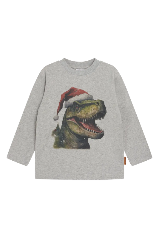 Hust & Claire Langarmshirt mit Weihnachts-Dino – Anton Mokkini Kindermode T-Shirt Langarm