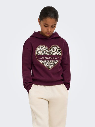 ONLY GIRLS Kapuzenpullover mit Print – Weicher Hoodie für Mädchen