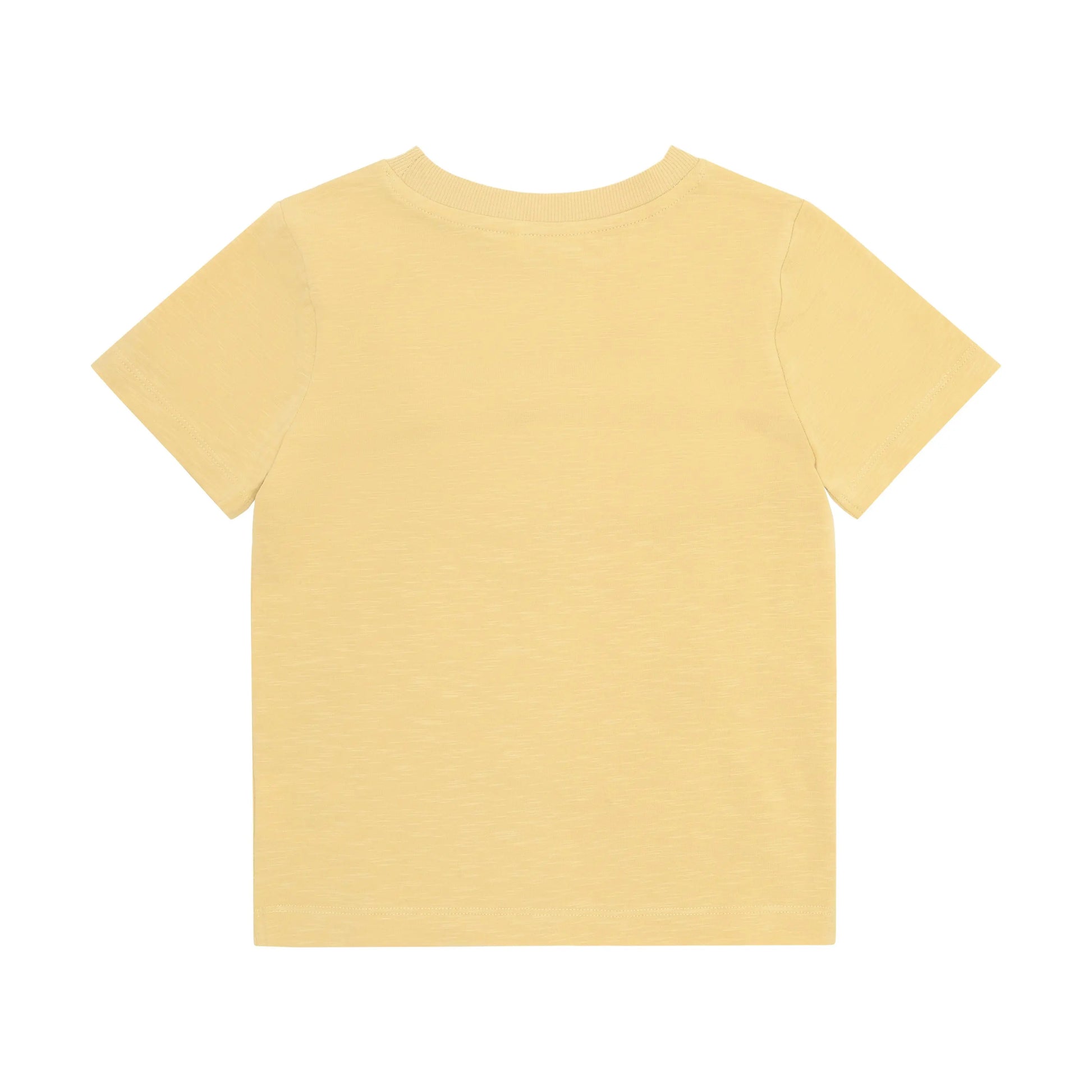 Minymo T-Shirt Junge Blau Mokkini