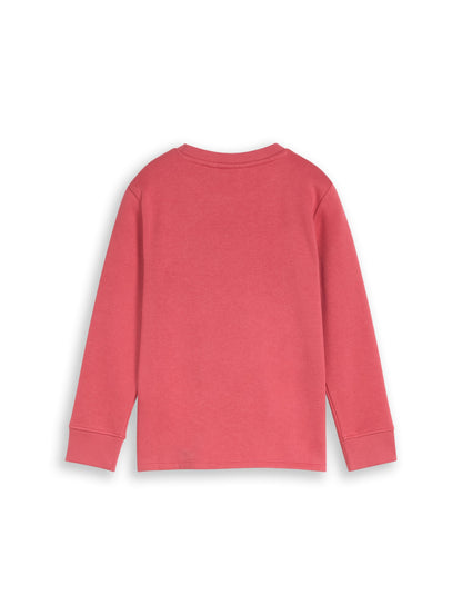 Tom Tailor Kids Sweatshirt mit Cookie-Print in Rot