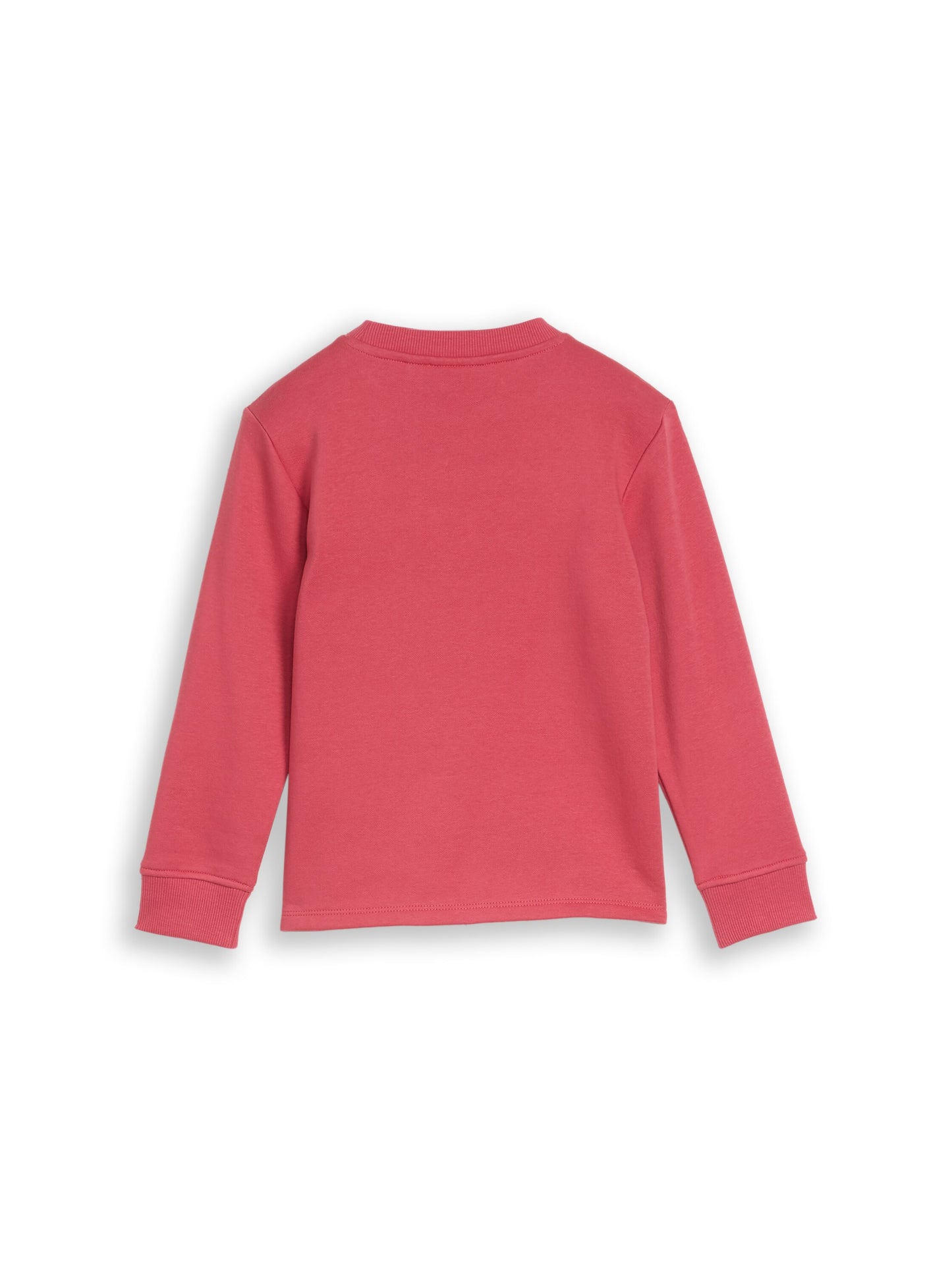 Tom Tailor Jungen Sweatshirt mit Print in Beerenrot