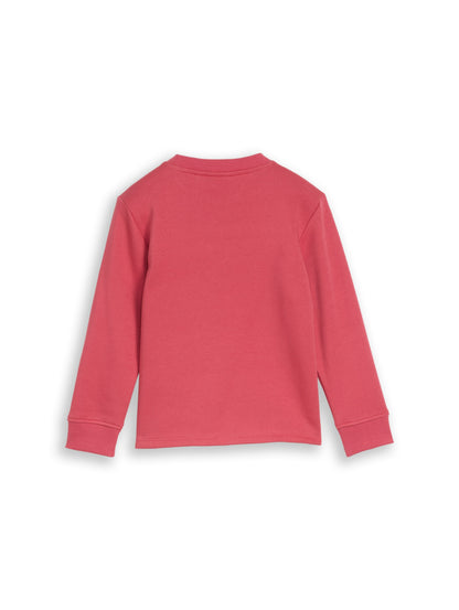 Tom Tailor Jungen Sweatshirt mit Print in Beerenrot