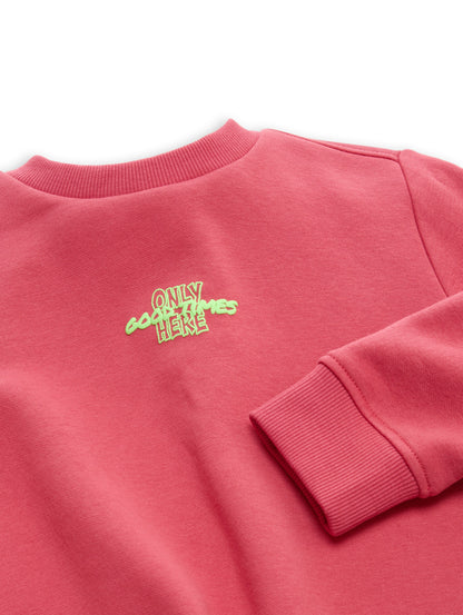 Tom Tailor Jungen Sweatshirt mit Print in Beerenrot