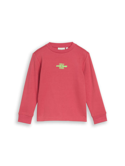 Tom Tailor Jungen Sweatshirt mit Print in Beerenrot