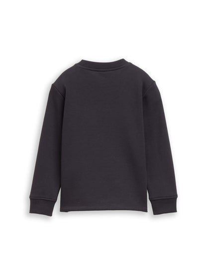 Tom Tailor Jungen Sweatshirt mit Print in Anthrazit