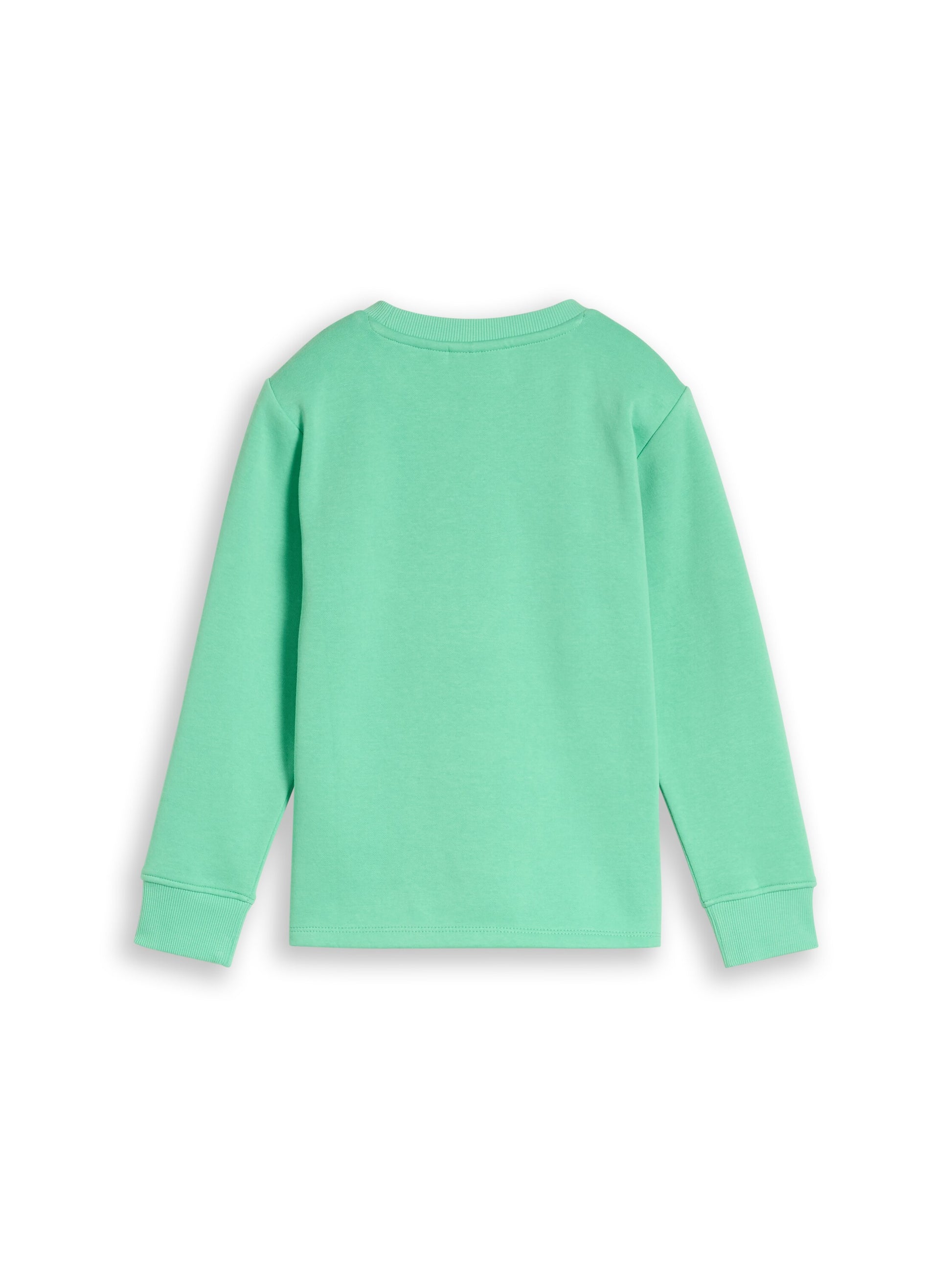 Tom Tailor Jungen Sweatshirt mit Print in Grün