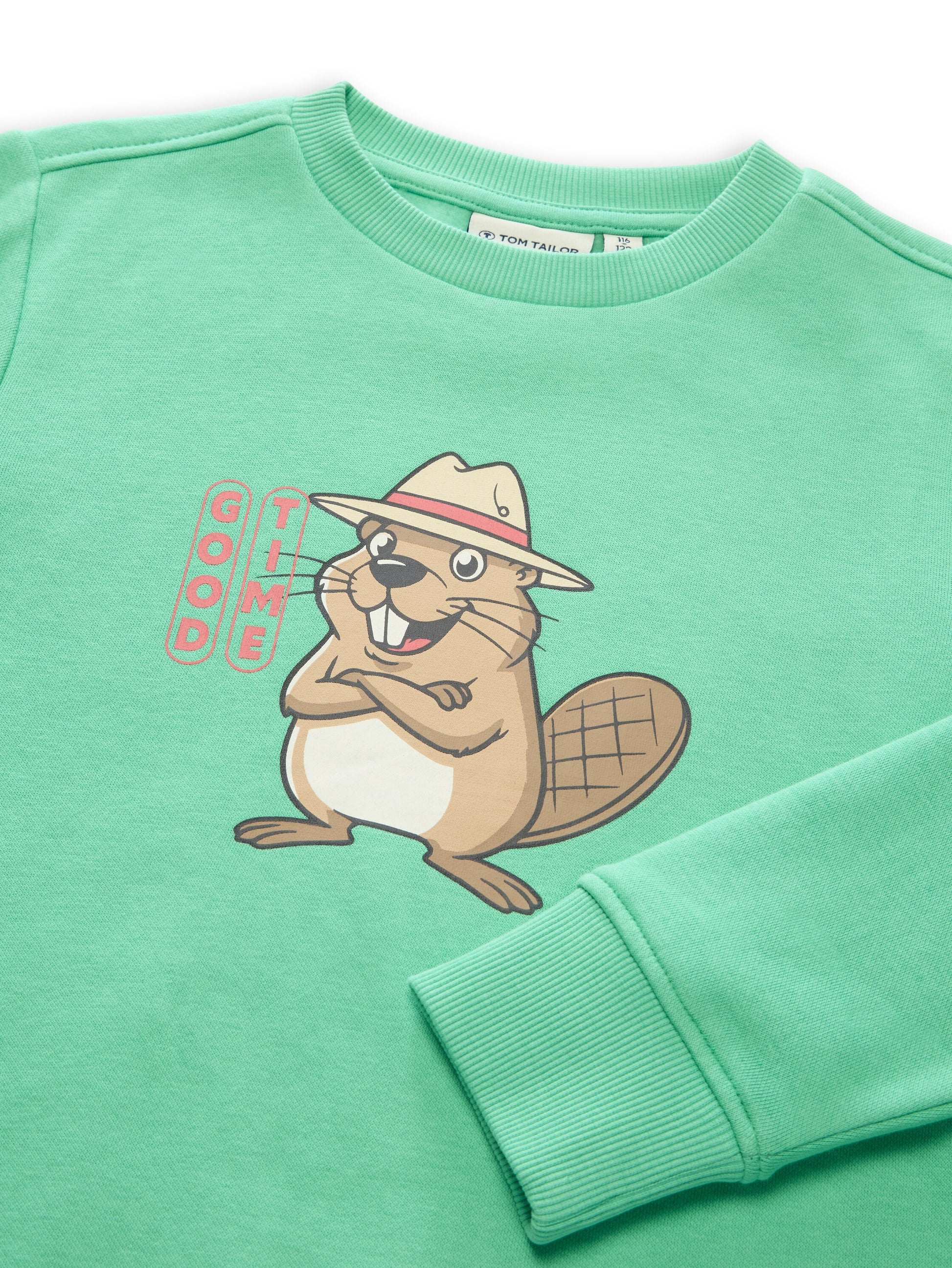 Tom Tailor Jungen Sweatshirt mit Print in Grün