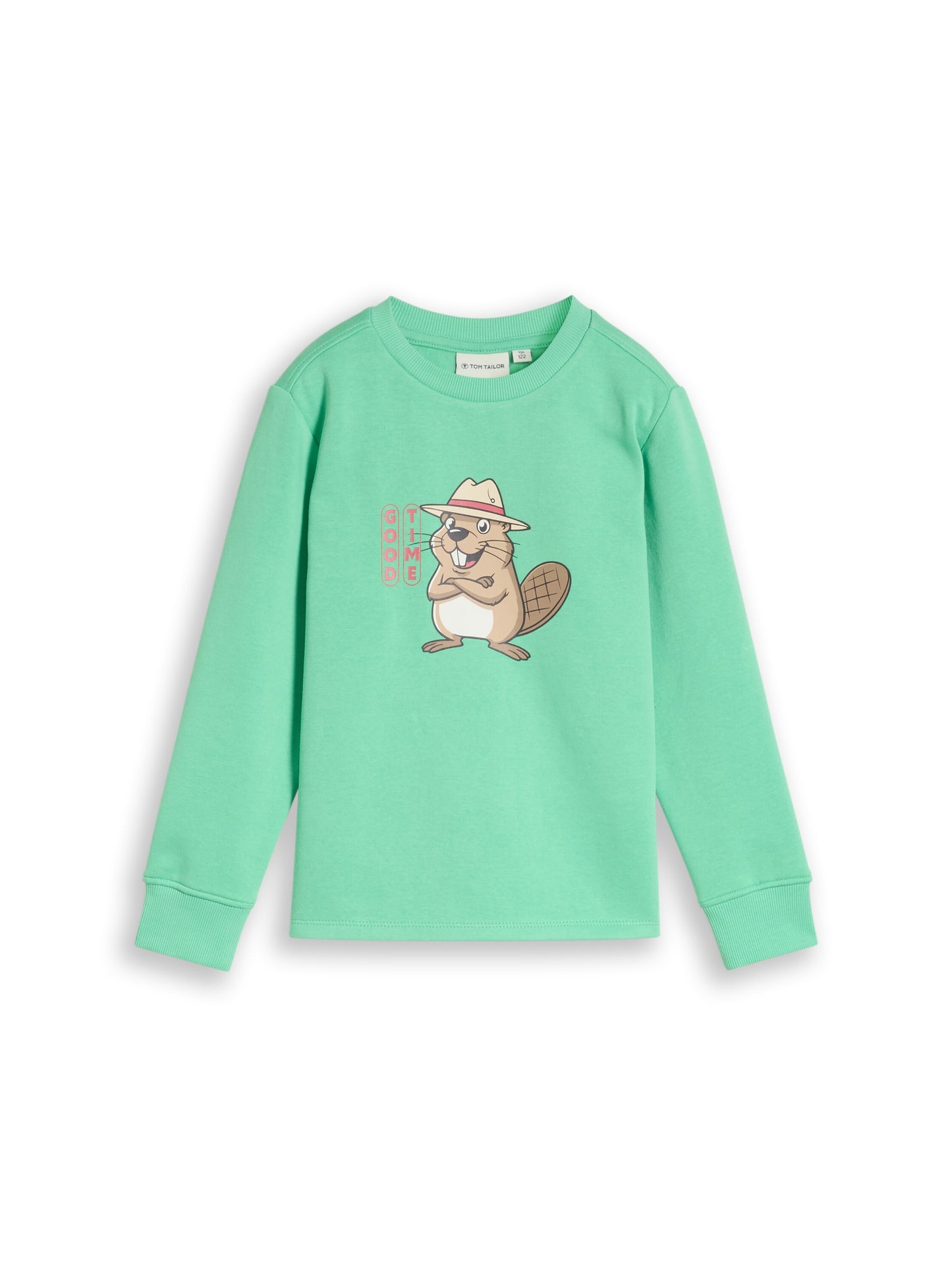 Tom Tailor Jungen Sweatshirt mit Print in Grün