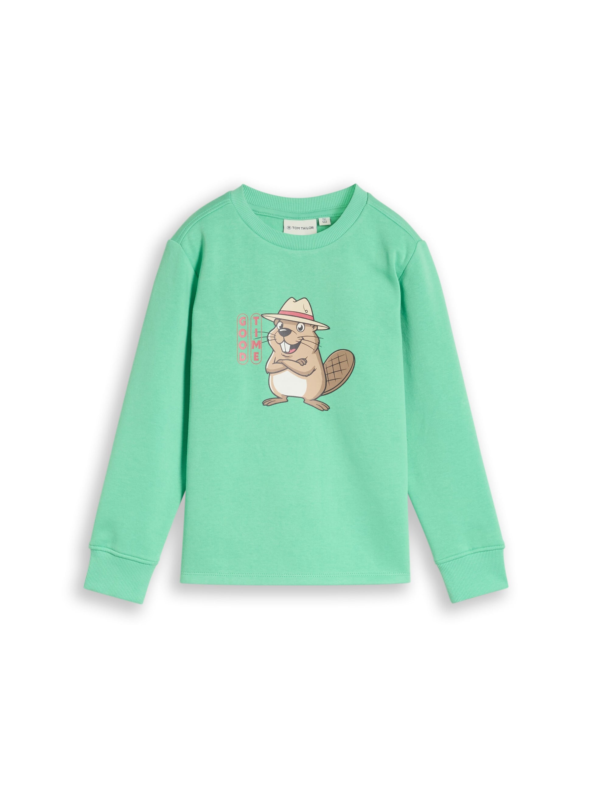 Tom Tailor Jungen Sweatshirt mit Print in Grün