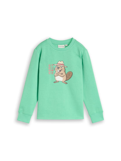 Tom Tailor Jungen Sweatshirt mit Print in Grün