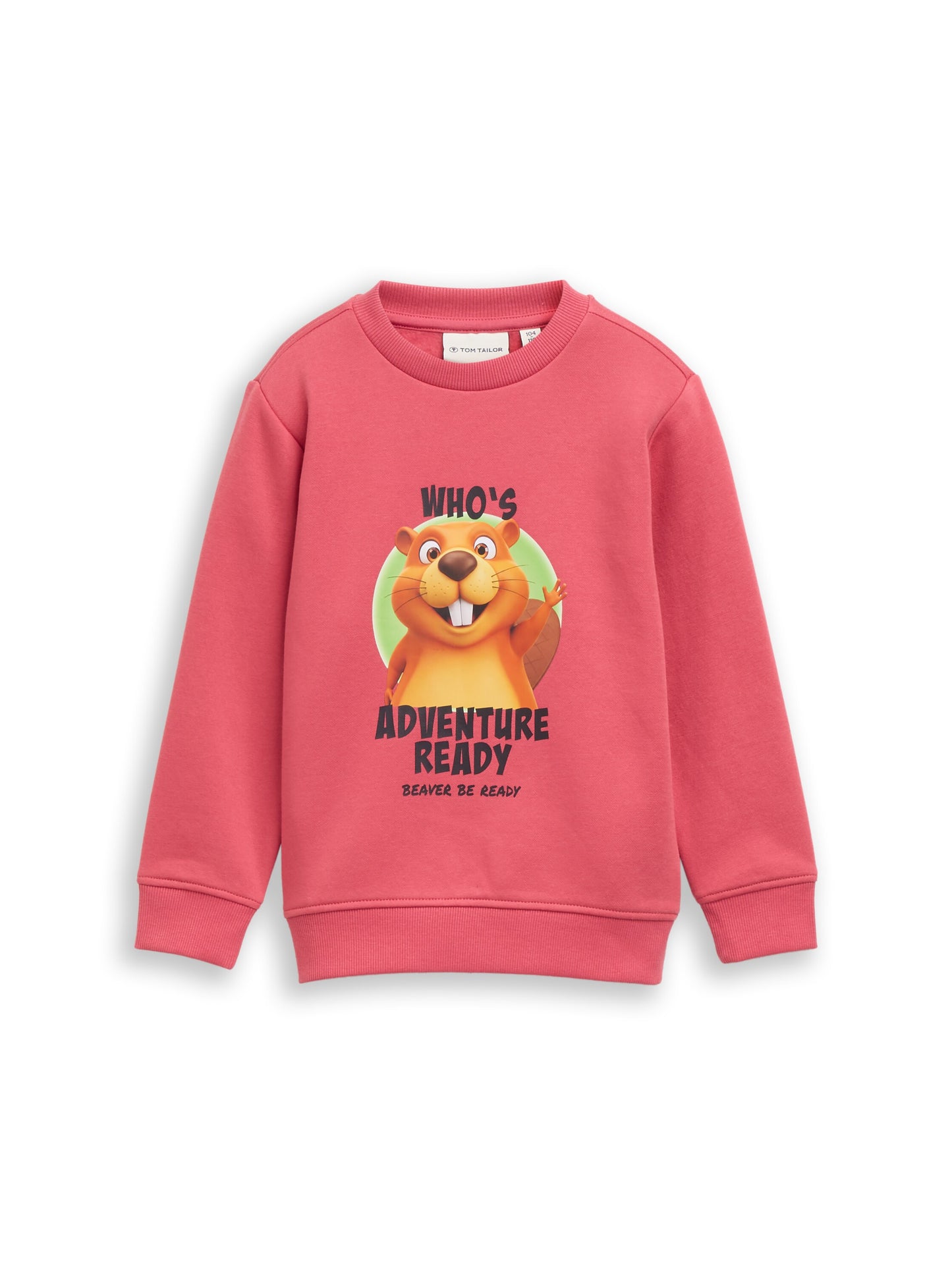 Tom Tailor Jungen Sweatshirt mit Fotoprint in Beerenrot