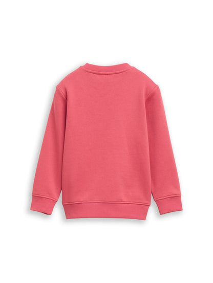 Tom Tailor Jungen Sweatshirt mit Fotoprint in Beerenrot