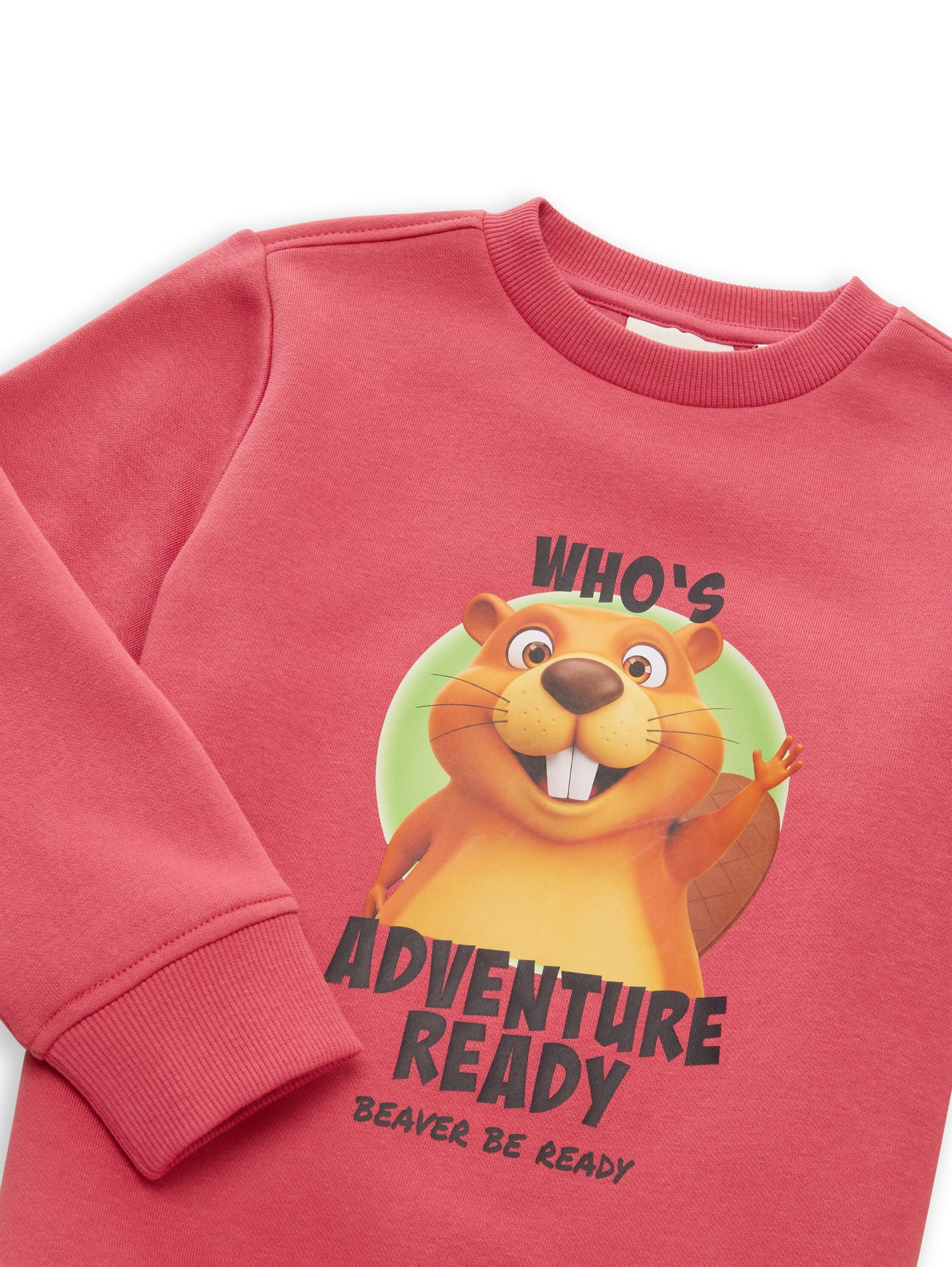 Tom Tailor Jungen Sweatshirt mit Fotoprint in Beerenrot