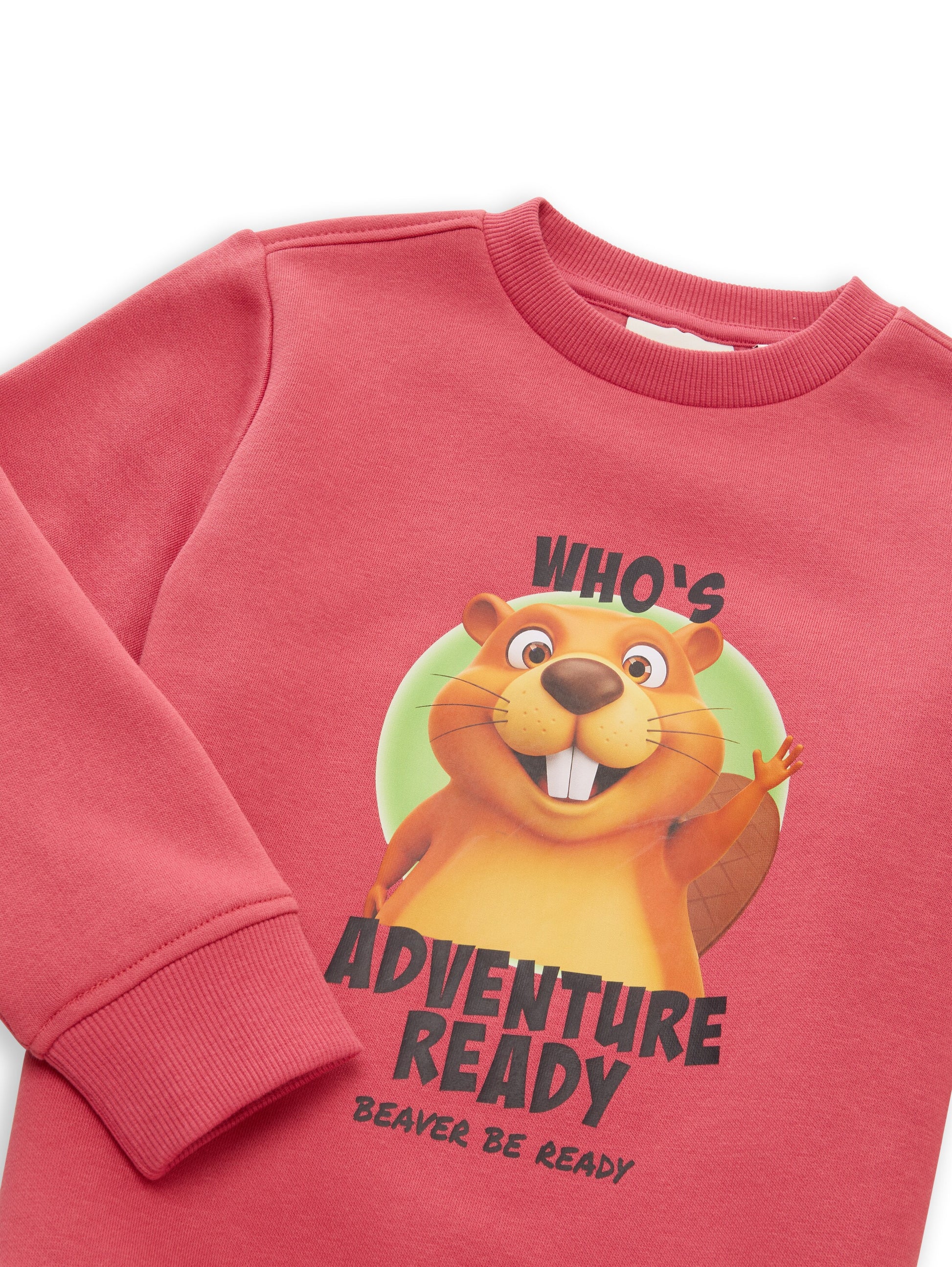 Tom Tailor Jungen Sweatshirt mit Fotoprint in Beerenrot