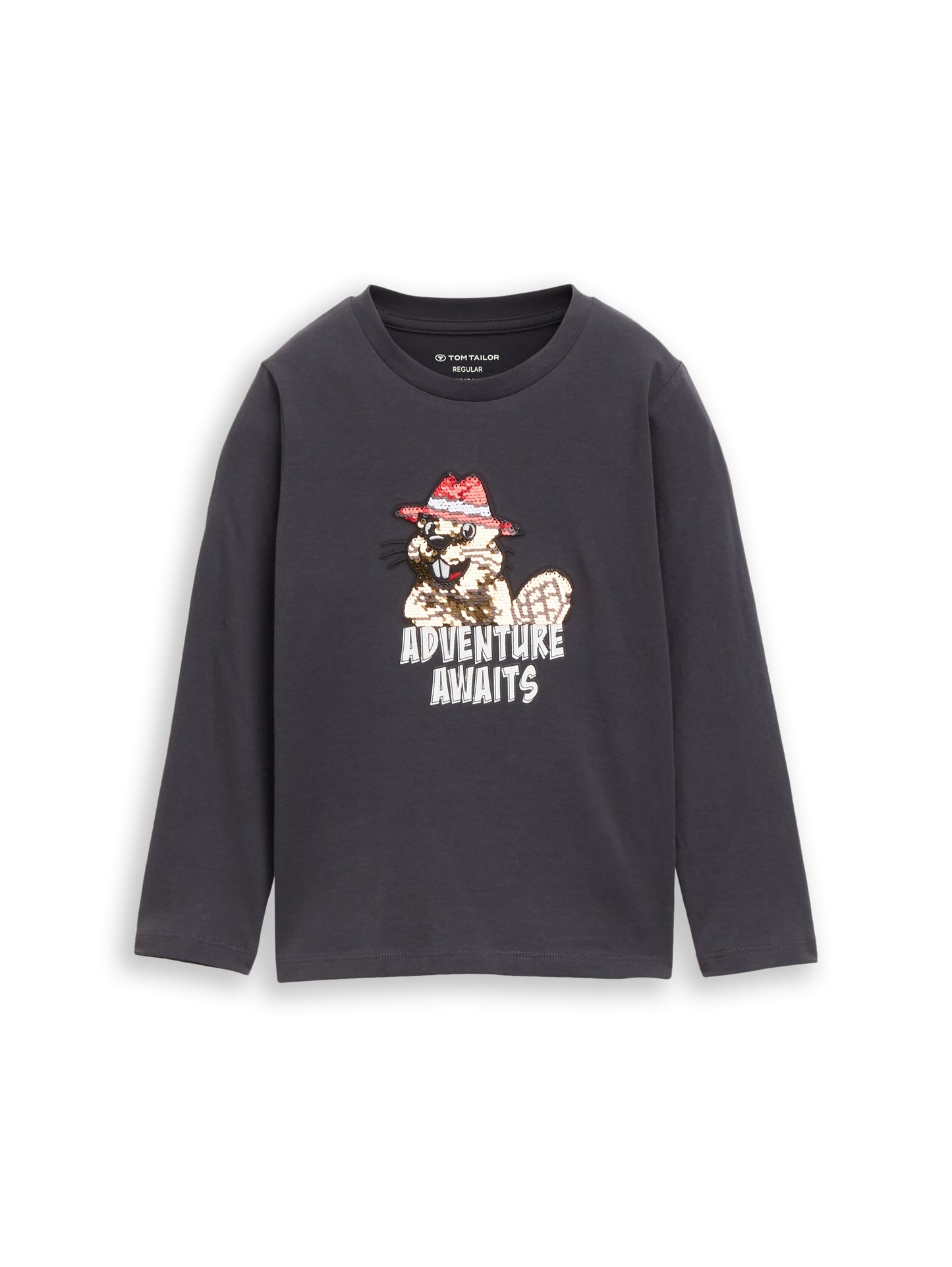 Tom Tailor Jungen Langarmshirt mit Print in Anthrazit