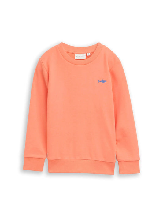 Tom Tailor Kids Jungen T-Shirt Hai-Motiv