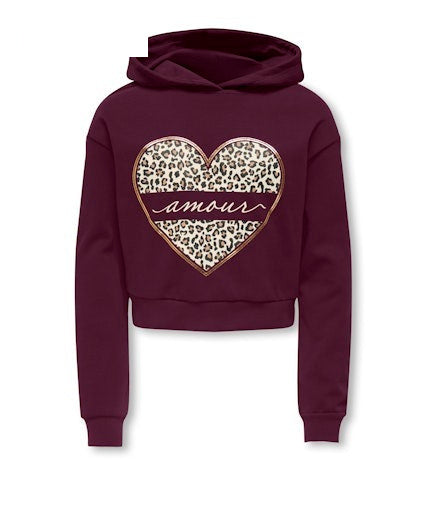 ONLY GIRLS Kapuzenpullover mit Print – Weicher Hoodie für Mädchen